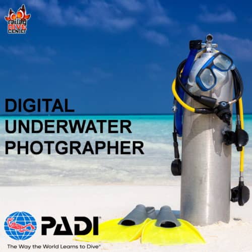 Digital Underwater Photographer