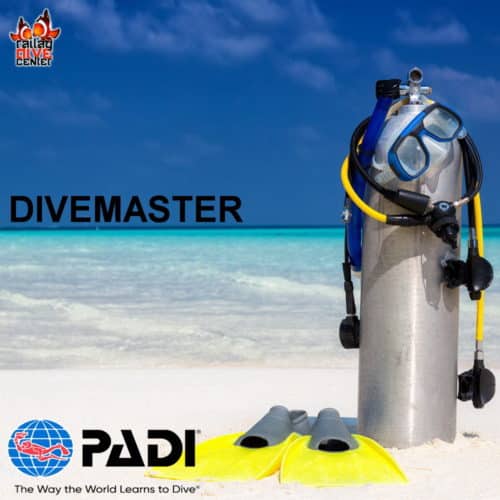 PADI Divemaster