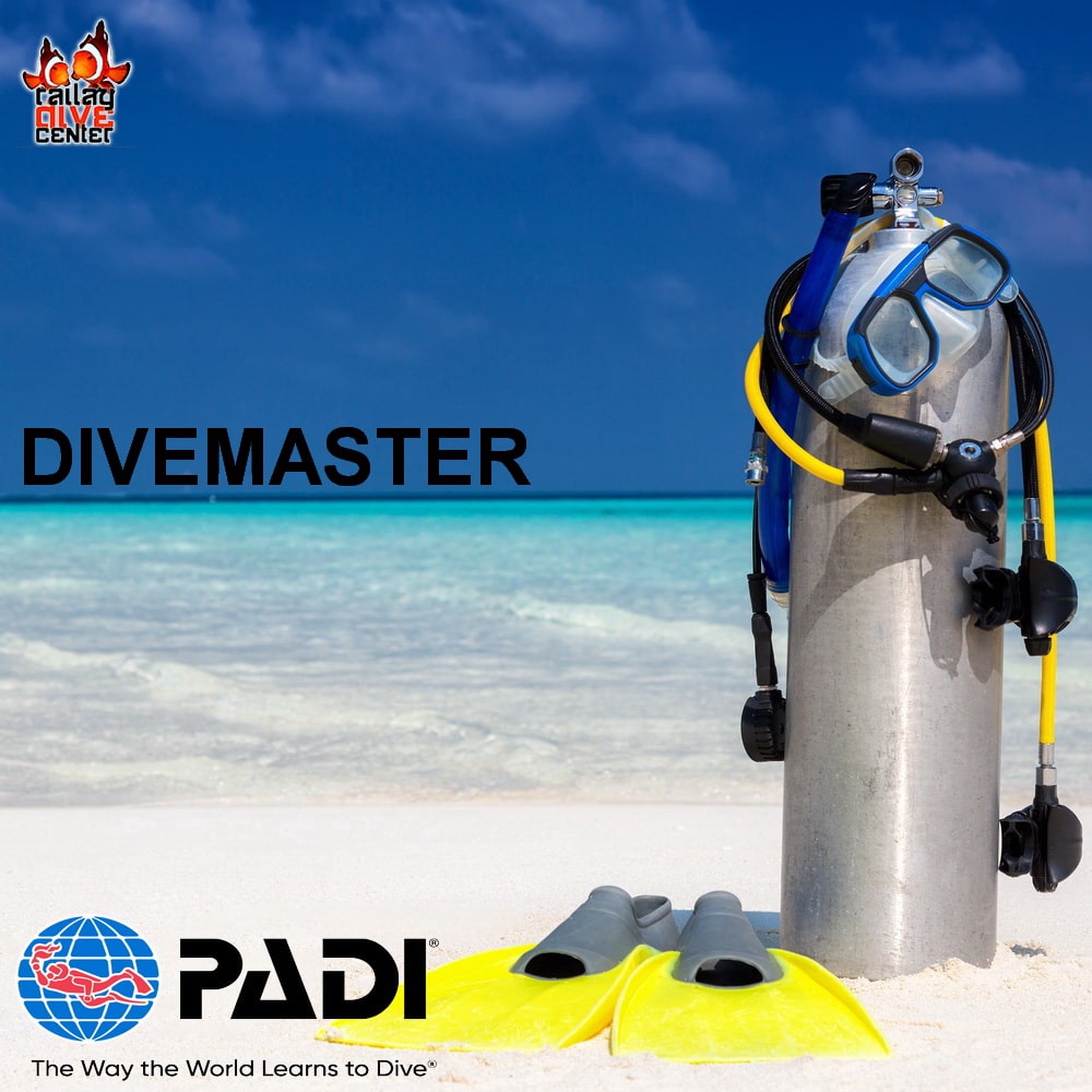 PADI Divemaster