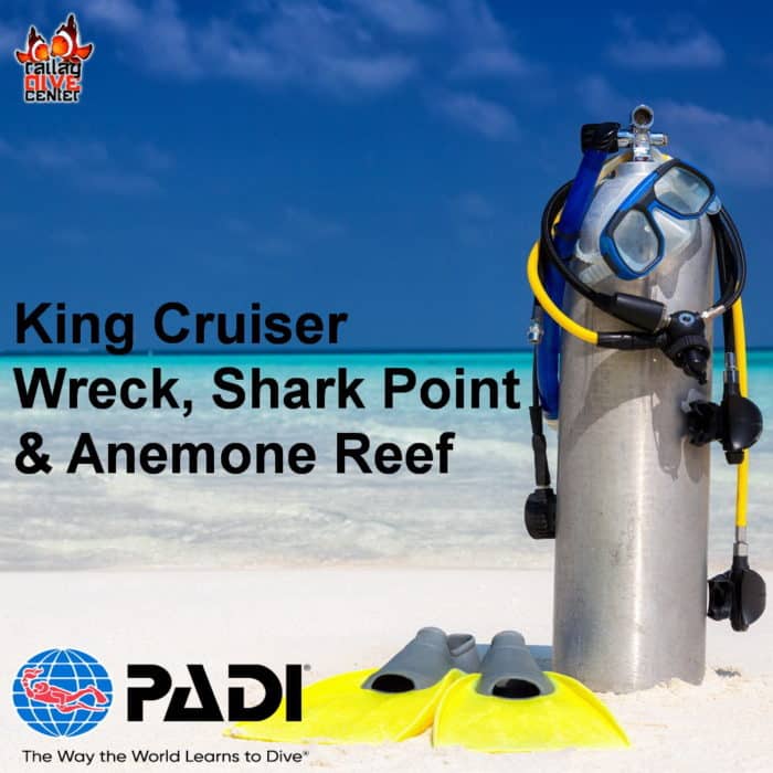 King Cruiser Wreck, Shark Point & Anemone Reef