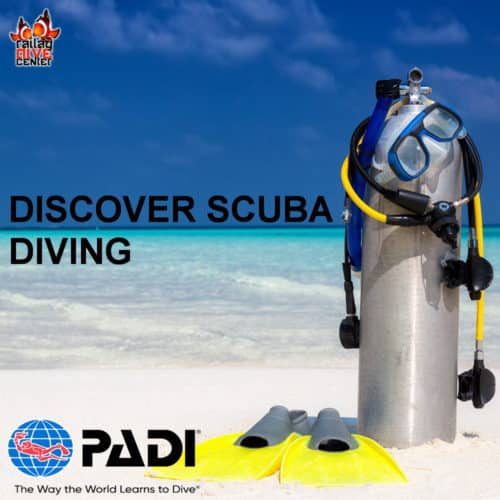 Padi Discover Scuba Diving