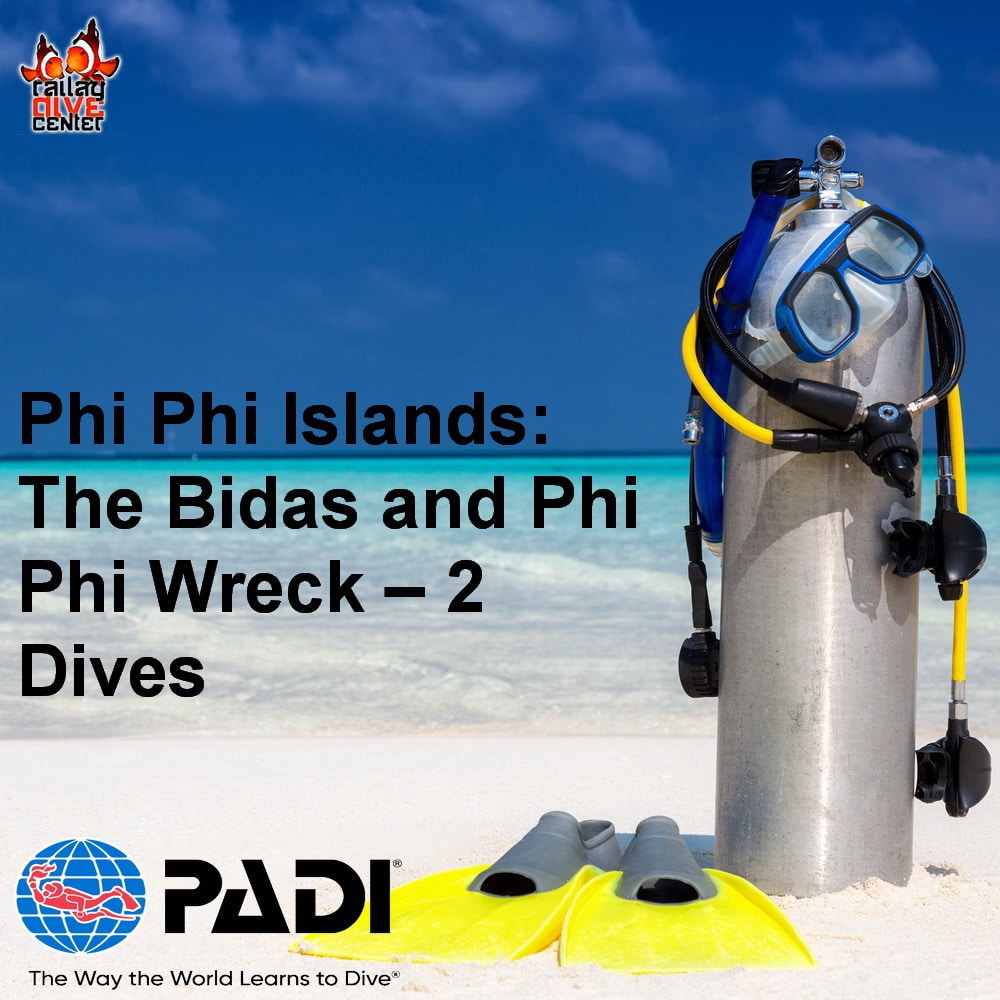 The Bidas and Phi Phi Wreck – 2 Dives