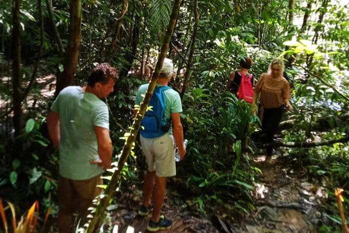 Hiking in Khao Sok